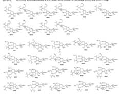 Figure imgf000014_0001