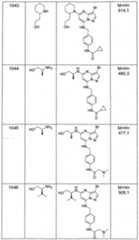 Figure imgf000369_0001
