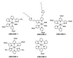 Figure JPOXMLDOC01-appb-C000073