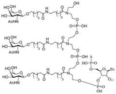 Figure imgf000395_0001