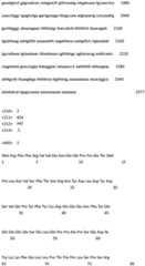 Figure IDA0000842586450000031