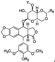 Figure imgf000007_0001