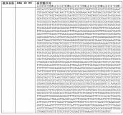 Figure 421153DEST_PATH_IMAGE060