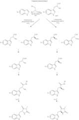 Figure US10508102-20191217-C00025