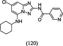 Figure GPA00001035513101151