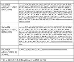 Figure BDA0004033970230004741