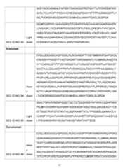 Figure imgf000078_0001