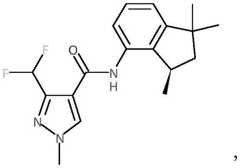 Figure BDA0001627689830000192