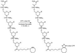 Figure imgf000185_0001