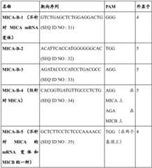 Figure BDA0002526715610000271
