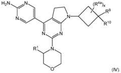 Figure imgf000024_0002