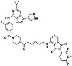 Figure BDA0002964098100001732