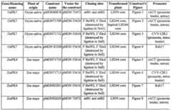 Figure imgf000052_0001