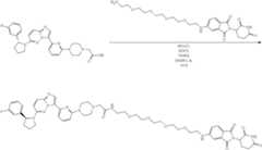 Figure US11969472-20240430-C00282