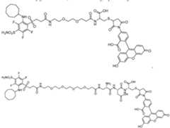 Figure imgf000013_0002