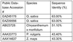 Figure imgf000023_0003