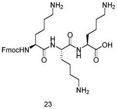 Figure BDA0002216067810000173