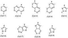 Figure FDA0003551478600000031