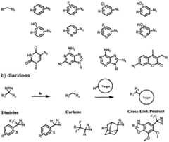 Figure imgf000195_0001
