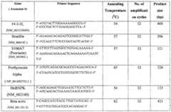 Figure imgf000179_0001