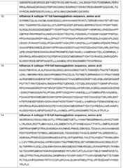 Figure imgf000079_0001