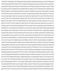 Figure imgf000080_0002