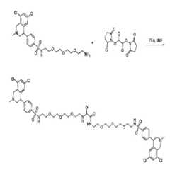 Figure 112011059052603-pct00375