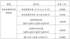 Figure GDA0003325264840000151