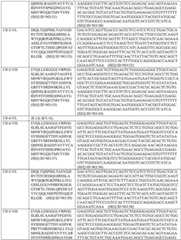 Figure BDA0003084934070000261