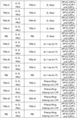 Figure imgf000106_0001