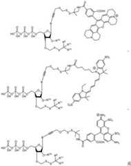 Figure BDA0003670511740001521