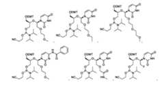 Figure imgf000018_0002