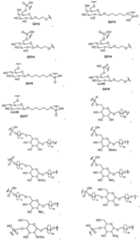 Figure imgf000089_0001