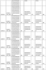 Figure BDA0004078918960001461