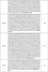 Figure imgf000093_0001