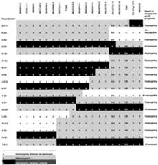 Figure imgf000046_0001