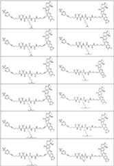 Figure PCTCN2022073822-appb-000367