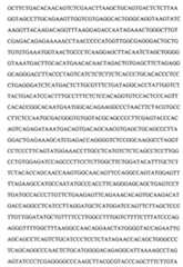 Figure 104109152-A0202-12-0107-50