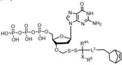 Figure imgf000263_0002