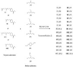 Figure imgf000031_0001