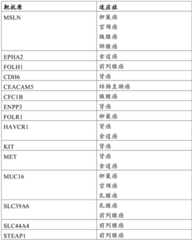 Figure BDA0002808063770004341