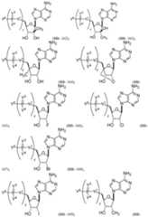 Figure imgf000079_0001