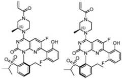 Figure BDA0002861043520001152