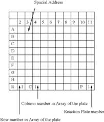 Figure US06878557-20050412-C00088