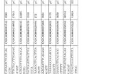 Figure imgf000019_0001