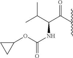 Figure US08653070-20140218-C00112