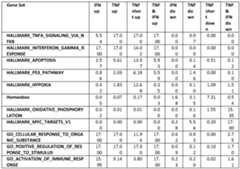 Figure imgf000252_0002