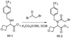 Figure BDA0003027264030004572