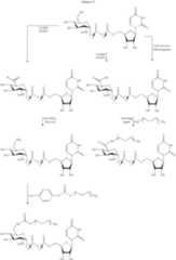 Figure US07125843-20061024-C00122