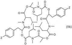 Figure imgf000011_0001